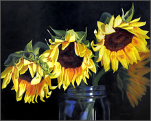 sunflowers in ball jar