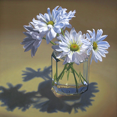 white daisies